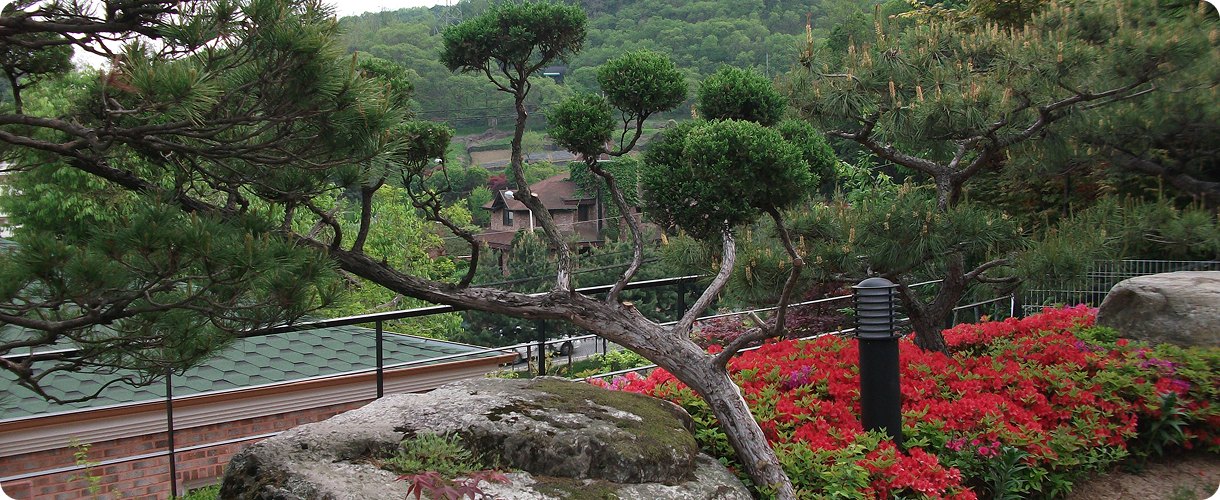 6b8e2b0a01b05c5e8d1e2a5f8eb14105_1761877616_6788.png 6b8e2b0a01b05c5e8d1e2a5f8eb14105_1761877616_6788.png